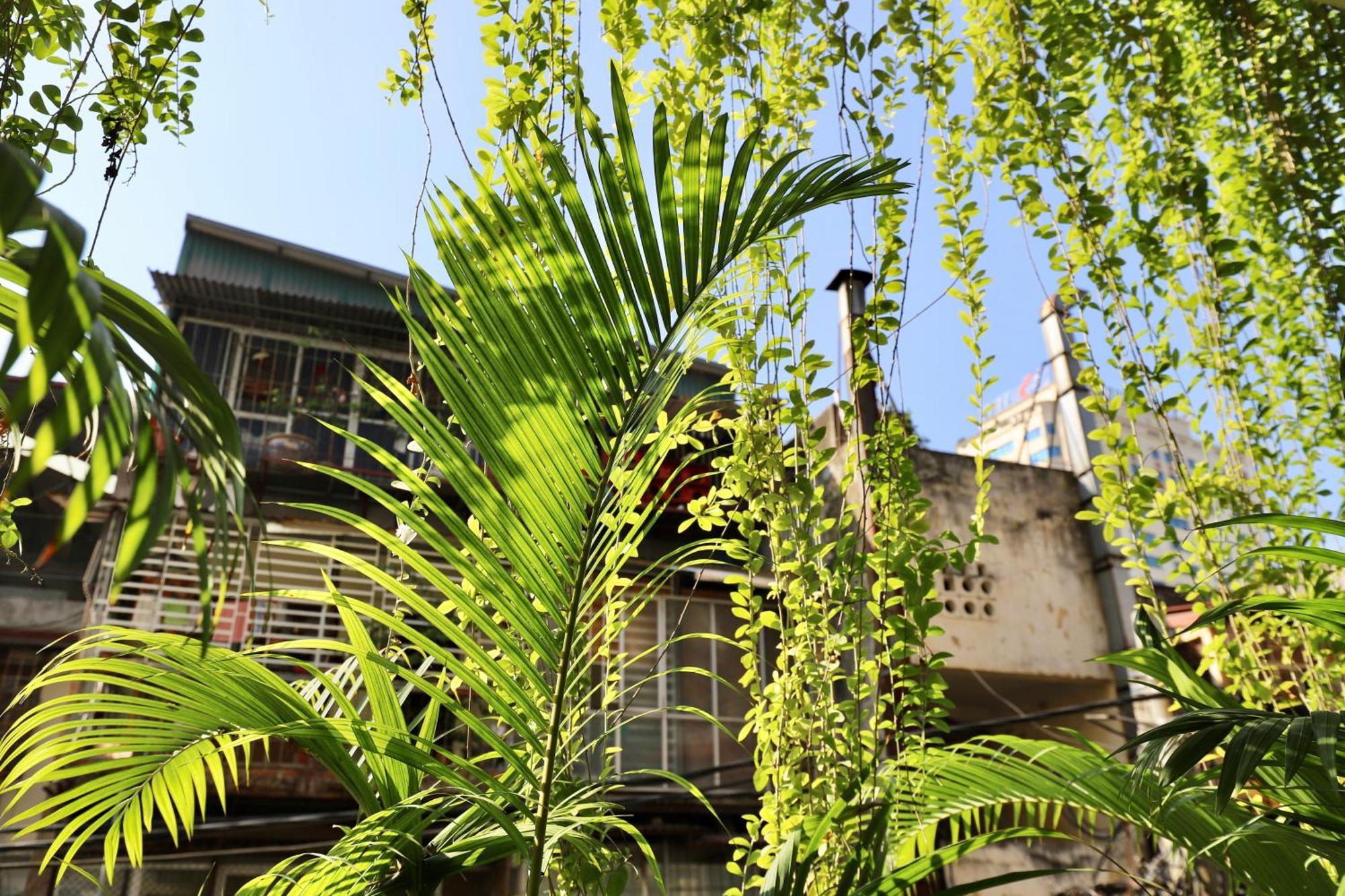 דירות האנוי The Garden House מראה חיצוני תמונה